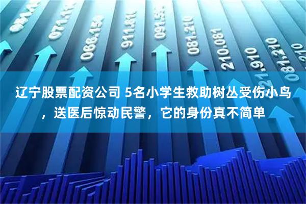 辽宁股票配资公司 5名小学生救助树丛受伤小鸟，送医后惊动民警，它的身份真不简单